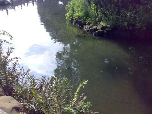 20070820405.jpg