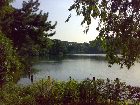 20070820406.jpg