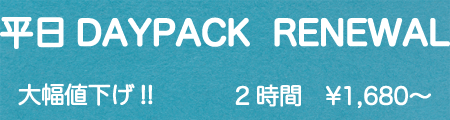 daypack2011bnr.gif