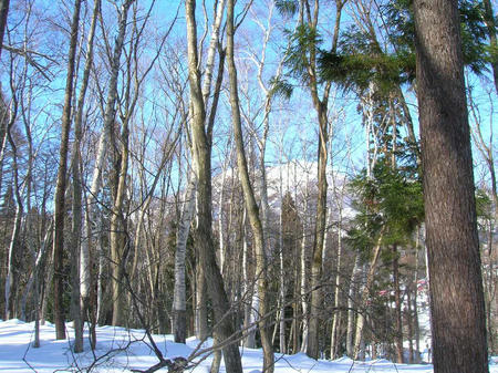 DSCN8747_b.jpg