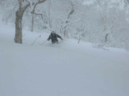DSCN8797.JPG