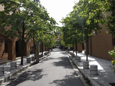 RIMG0091.jpg