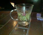 070927_2.jpg
