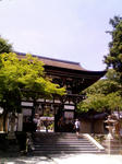 K3200065.JPG
