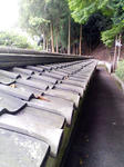 K3200071.JPG