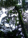 K3200072.JPG