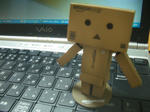 CIMG0973.JPG