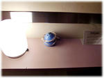 CIMG0855.JPG
