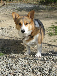 20111231b.jpg
