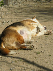 20111231c.jpg