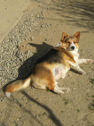 20111231e.jpg