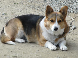 20120101b.jpg