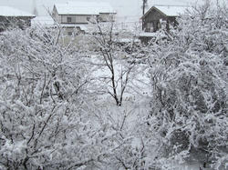 20130114b.jpg