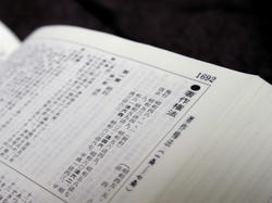 20130205a.jpg