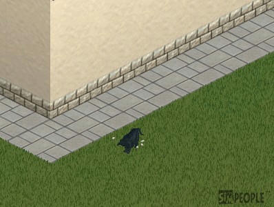 5d9c05a1.jpg