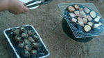 bbq2.jpg