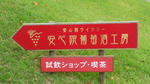 yuhuin3.jpg