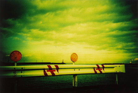 48b80e8d.JPG