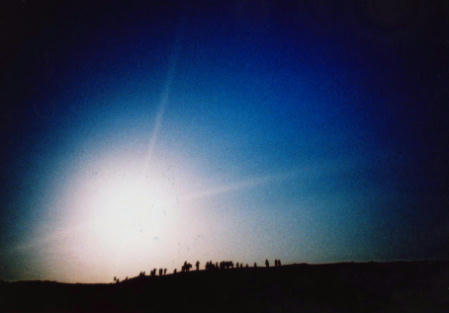 6dbb6614.JPG