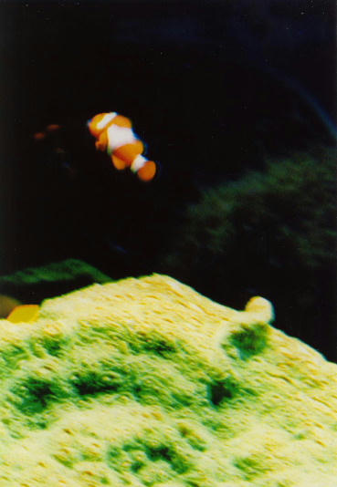 7a496e1e.JPG