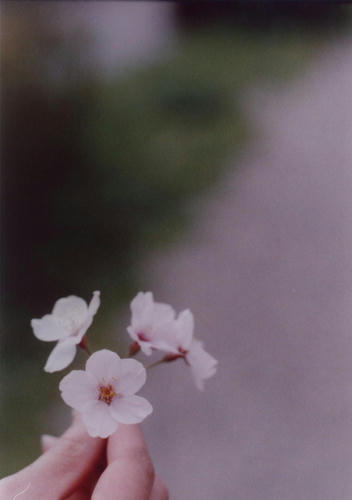 91f49f27.JPG