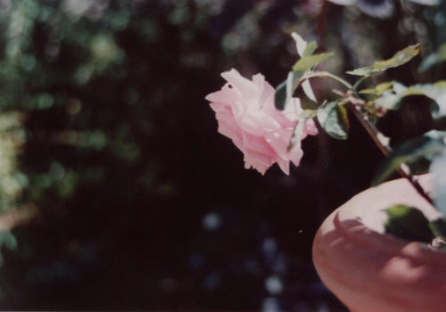 bcc963a6.JPG