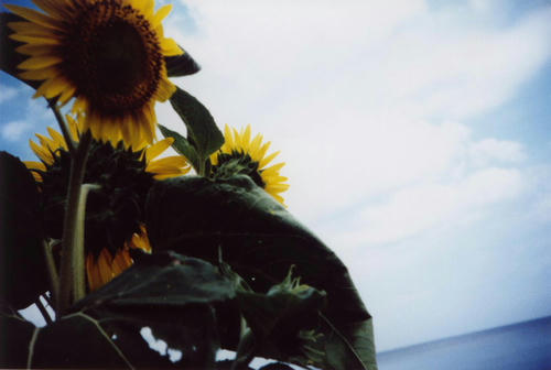 Photo00197.JPG