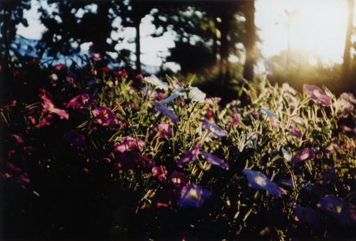 a6a339b6.JPG