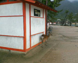 NEC_0371.JPG