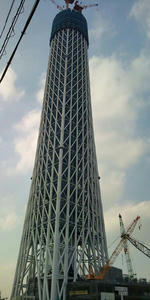 F1010019.JPG