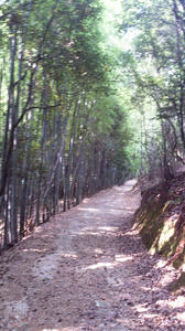 DSC_0317.jpg