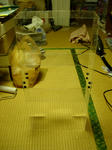 DSCN1733s.jpg