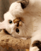 1206011816.gif
