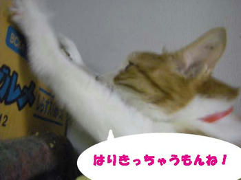 427d1b91jpeg