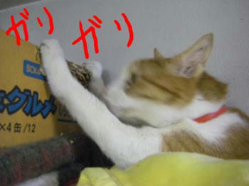 d391dfd9jpeg