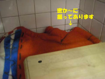 7be86a50jpeg