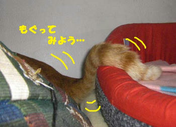 a2498190jpeg
