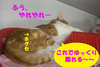 a896807ajpeg