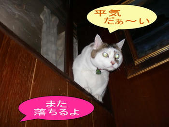 a166d5a9jpeg