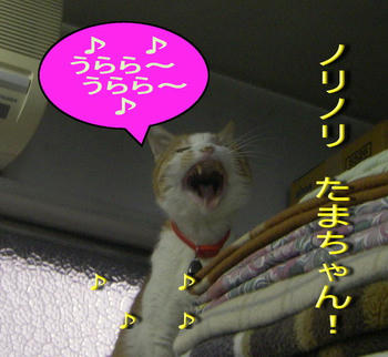 429f64dbjpeg
