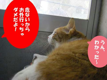 IMGP1275.jpg