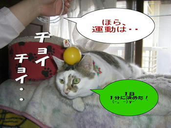 c87c4865jpeg