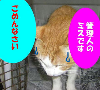 IMGP1088.jpg