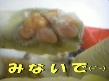 d4568969jpeg
