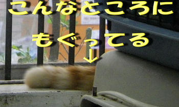 6b18eb55jpeg