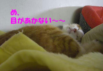 IMGP1326.jpg
