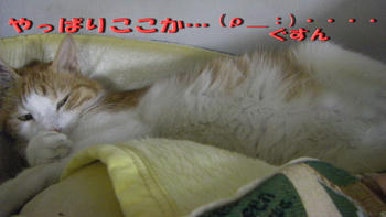 7112f22ejpeg