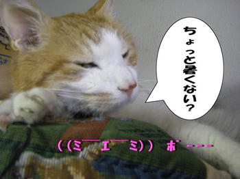 ちょっとダレダレ…