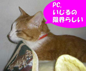 f84ea509jpeg