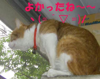 楽しかったのね～